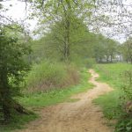 Dit leuke pad liep tussen een tweetal weilanden door.