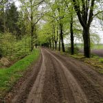 Een pad met aan de ene kant bos en aan de andere kant een net omgeploegde akker.