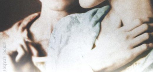 Boek : Carla de Jong - Geheim Leven