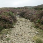 Mangerton Mountain (2)