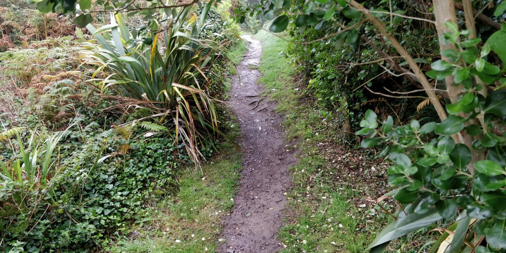 Derrynane National Historic Park (2)