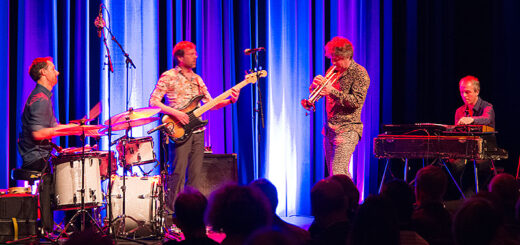 Concert : Gatecrasch - Party Animals