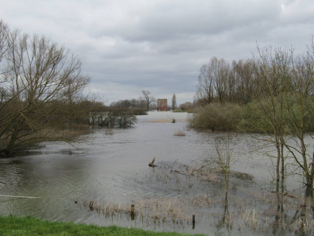 Uitzicht op Kasteel Nijenbeek