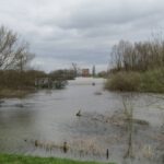 Uitzicht op Kasteel Nijenbeek