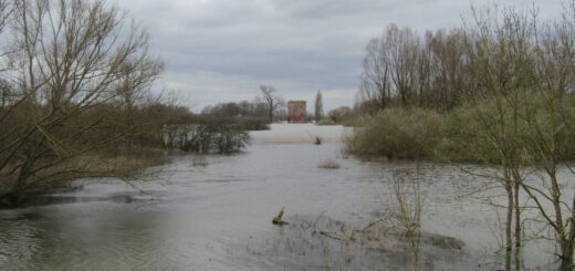 Uitzicht op Kasteel Nijenbeek