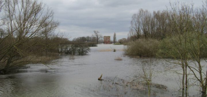 Uitzicht op Kasteel Nijenbeek