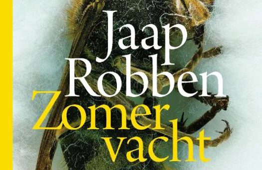 Boek : Jaap Robben - Zomervacht