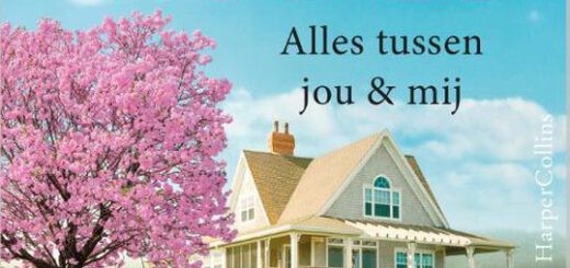 Boek : Susan Wiggs - Alles tussen jou en mij