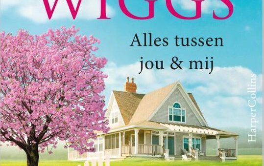 Boek : Susan Wiggs - Alles tussen jou en mij