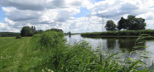 Een mooie omgeving (1)