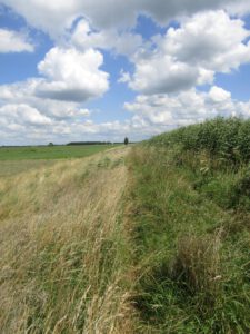 Een mooie omgeving (3)