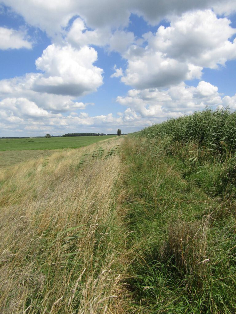 Een mooie omgeving (3)