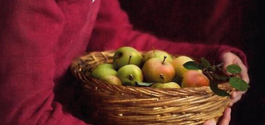 Boek : Jacobine van den Hoek - Zondebok