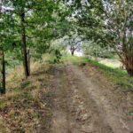 Dit was een mooi paadje waarover de wandeling ging