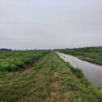 Dit mooie paadje liep langs een veld en een sloot