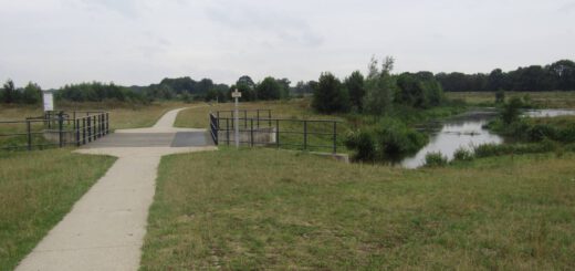 Bij Hardenberg is dit fraaie Vechtpark