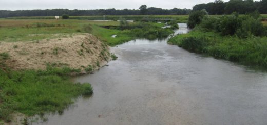 Dit zagen wij ook nog aan water en natuur