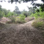 Dit leuke paadje was het begin van een fraai stuk heide