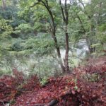 De wandeling liep langs deze mysterieuze sloot