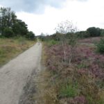 Met dit fraaie paadje ging de wandeling over een mooi stuk heide