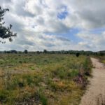 Tijdens de wandeling hadden wij ook nog dit fraaie uitzicht