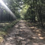 Deze mooie weg leidde ons door een mooi bos