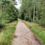 Deze mooie weg leidde ons door een mooi bos