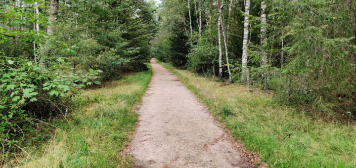 Deze mooie weg leidde ons door een mooi bos