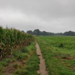 Met dit mooie paadje startte deze wandeling