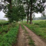 Deze mooie weg leidde ons door een mooi stukje boeren gebied