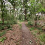 In het bos liepen wij over dit mooie paadje