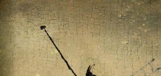 Boek : Esther Gerritsen - De Trooster