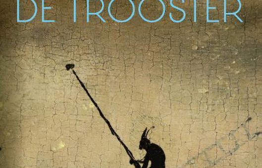 Boek : Esther Gerritsen - De Trooster