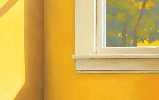 Boek : Clairy Polak - Voorbij, voorbij