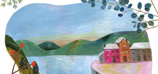 Boek : Jenny Colgan - Wintereiland