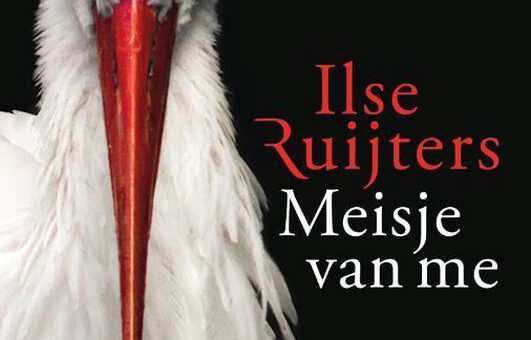 Boek : Ilse Ruijters - Meisje van me