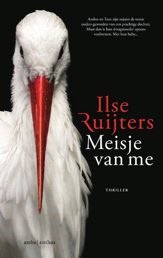 Boek : Ilse Ruijters - Meisje van me