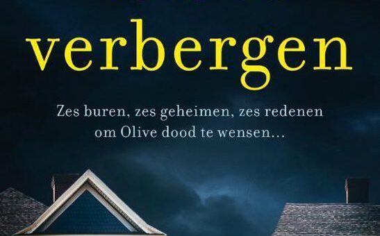 Boek : Jo Spain - Iets te verbergen