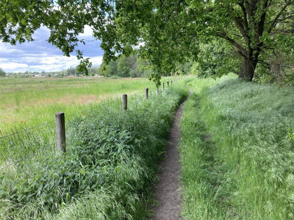 Een mooi paadje (5)