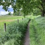 Een mooi paadje (5)