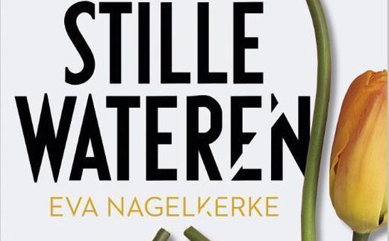 Boek : Eva Nagelkerke - Stille Wateren