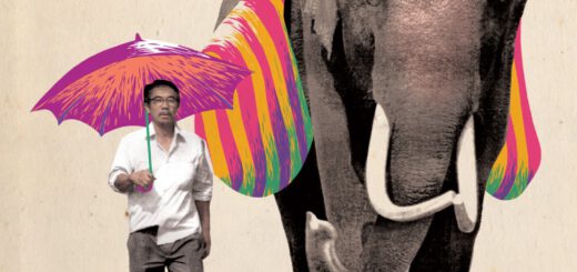 Film : Pop Aye (2017)