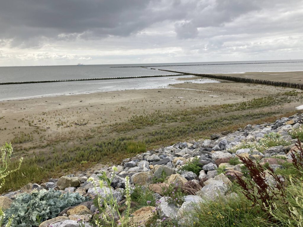 De waddenzee (1)