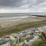 De waddenzee (1)