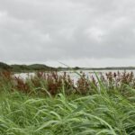 Uitzicht over het Water