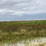 Uitzicht op het Strand