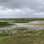 Uitzicht over de Duinen (2)