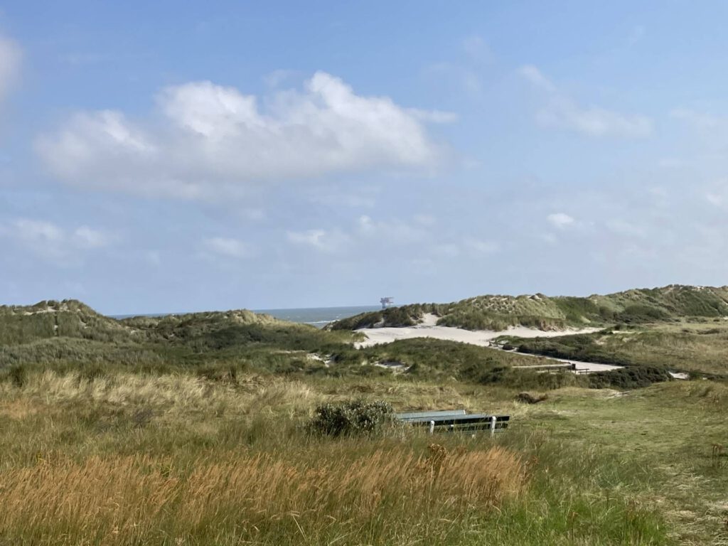 Uitzicht op Duinen en Zee