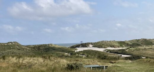 Uitzicht op Duinen en Zee