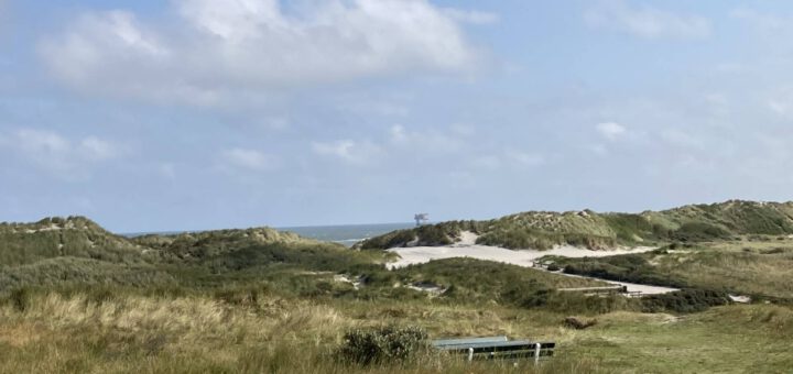 Uitzicht op Duinen en Zee